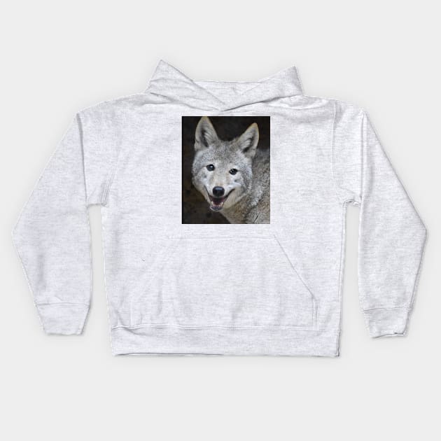 Coyote Kids Hoodie by Sharonzoolady